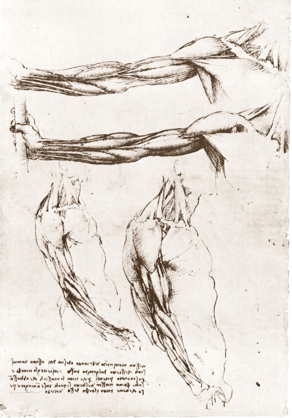 Leonardo+da+Vinci-1452-1519 (806).jpg